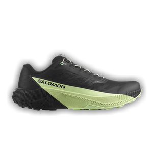 Salomon Pulsar 'Black Patina Green'