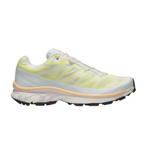 Salomon XT-6 'Alpen Blossom Ice Flow'