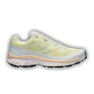 Salomon XT-6 'Alpen Blossom Ice Flow'