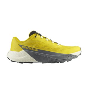 Salomon Pulsar 'Incaberry'