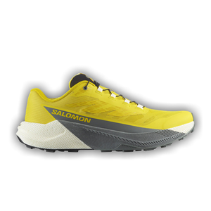 Salomon Pulsar 'Incaberry'