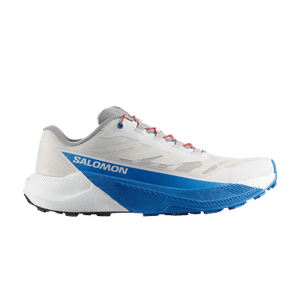 Salomon Pulsar 'Lunar Rock French Blue'