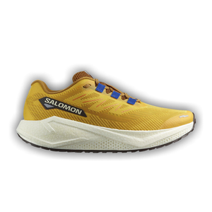 Salomon Aero Blaze 3 GRVL 'Spicy Mustard'