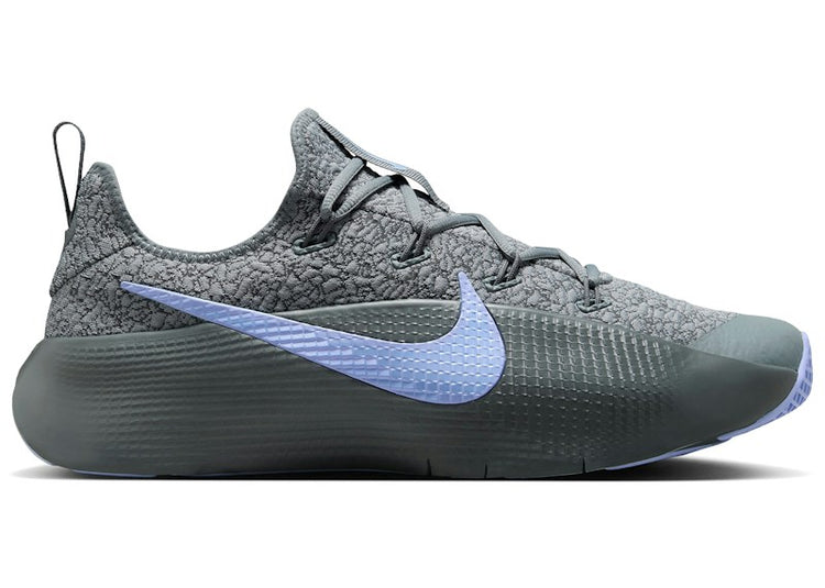 Nike LeBron TR 1 Cool Grey Aluminum FJ6151-008
