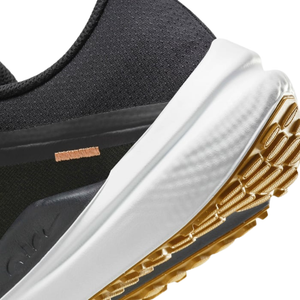 Nike Winflo 10 'Black Bronzine'