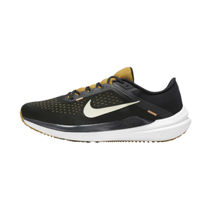 Nike Winflo 10 'Black Bronzine'