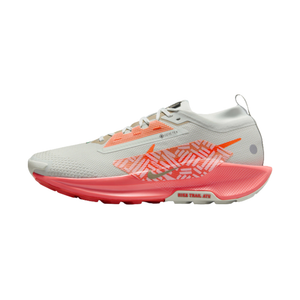 Nike Pegasus Trail 5 GORE-TEX 'Light Silver Wild Mango'