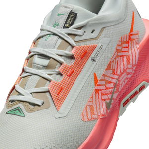 Nike Pegasus Trail 5 GORE-TEX 'Light Silver Wild Mango'