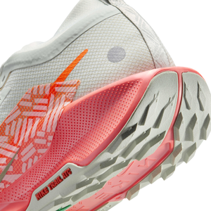 Nike Pegasus Trail 5 GORE-TEX 'Light Silver Wild Mango'