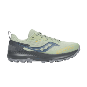 Saucony Wmns Peregrine 14 GORE-TEX 'Sage Carbon'