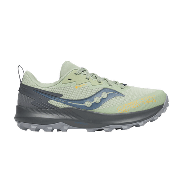 Saucony Wmns Peregrine 14 GORE-TEX 'Sage Carbon'