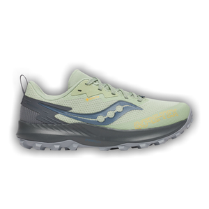 Saucony Wmns Peregrine 14 GORE-TEX 'Sage Carbon'