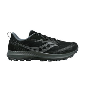 Saucony Wmns Peregrine 14 GORE-TEX 'Black Carbon'