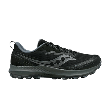 Saucony Wmns Peregrine 14 GORE-TEX 'Black Carbon'