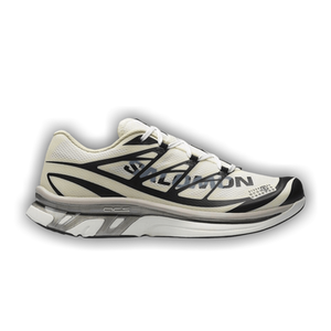 MM6 Maison Margiela x Salomon XT-6 'Vanilla Ice Black Green Haze'