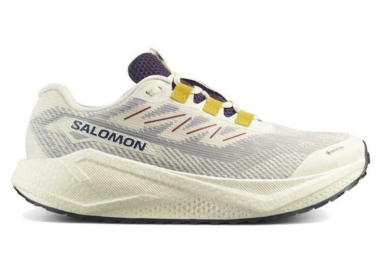 Salomon Aero Blaze 3 GRVL Gore-Tex Vanilla Ice Astral Aura L47953200