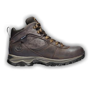 Timberland Mt. Maddsen Waterproof Mid Hiking Boot 'Dark Brown'